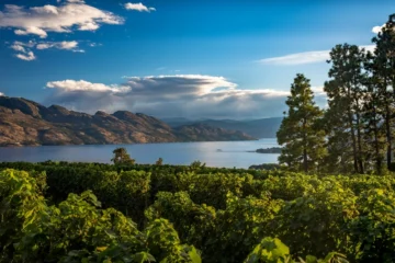 Skyline view from Mission Hill in West Kelowna, where Vision Plumbing Heating Cooling can service.