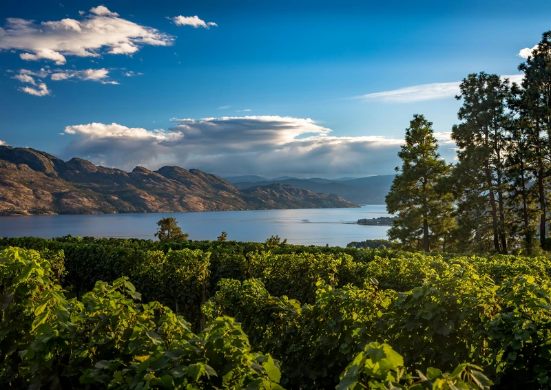 Skyline view from Mission Hill in West Kelowna, where Vision Plumbing Heating Cooling can service.